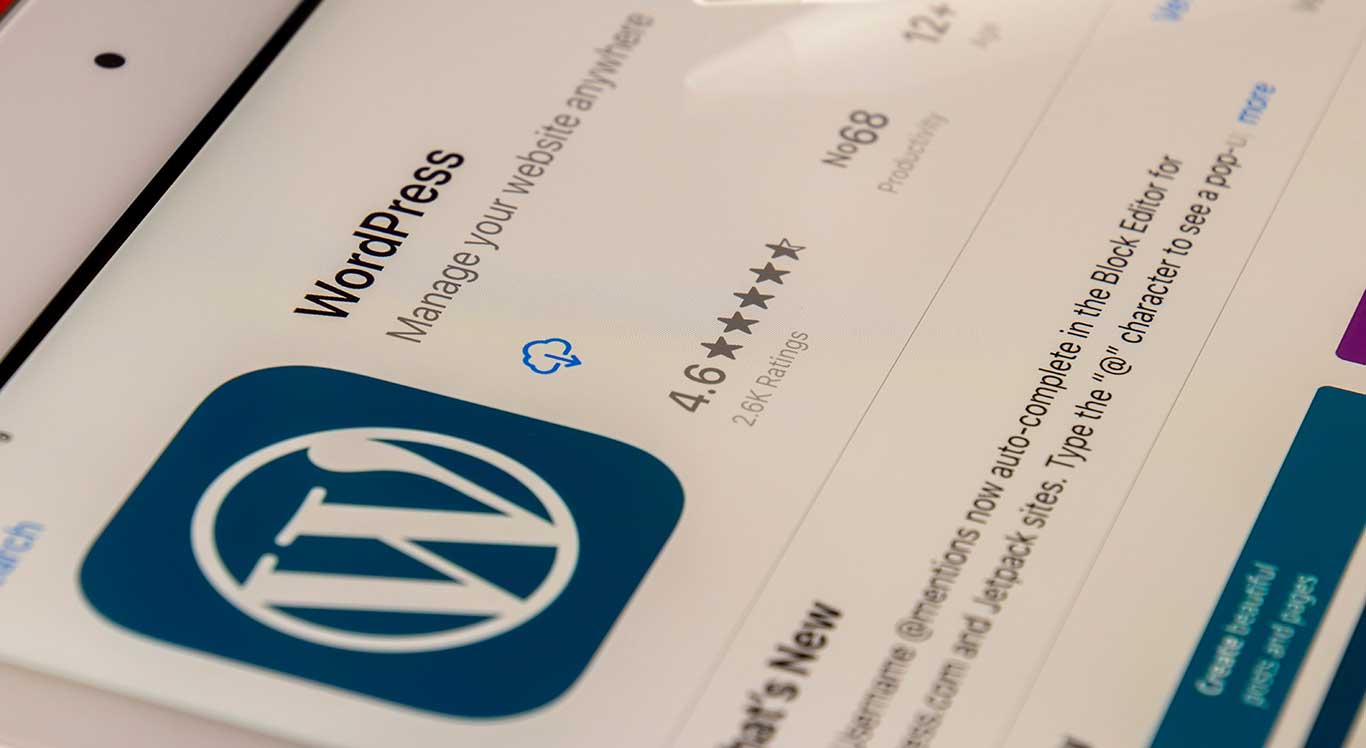 Wordpress-developments-in-York